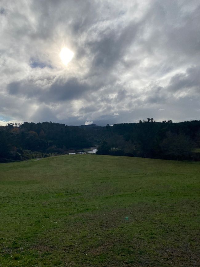 Taupo