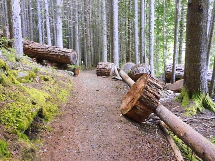 2025-06-02 Whistler, CA