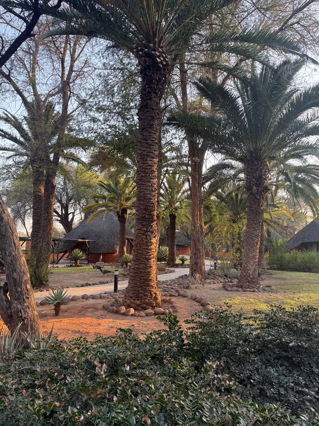 Namibia 2k25 🦓🏜️🐘