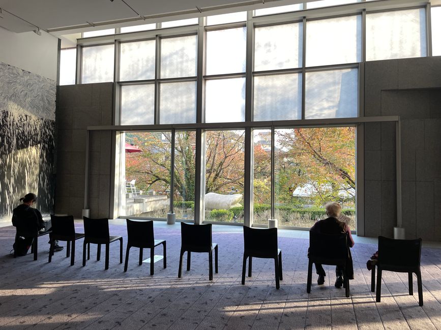Ruhepause mit Meditationsblick