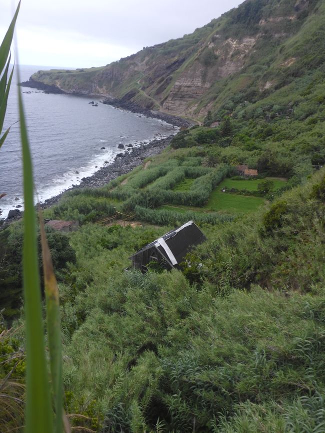 2025-07-12 Azoren, Ponta Delgada