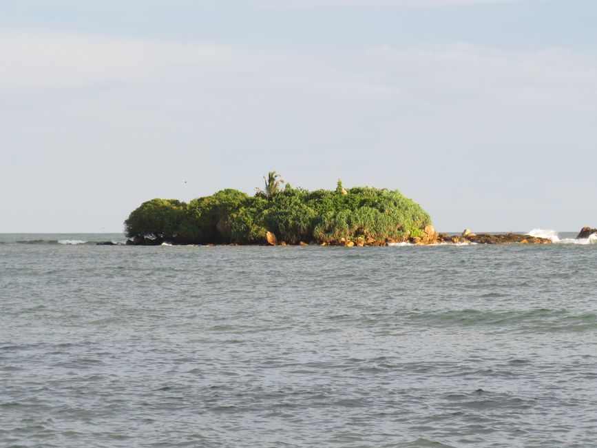 Matara - Mauvais temps, pas de baleines, mais des Salties (crocodiles d'eau salée)