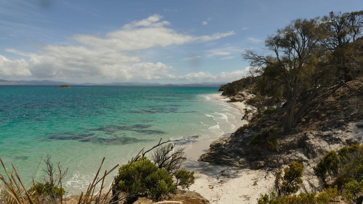 - Singapur & Tasmania 2019 -