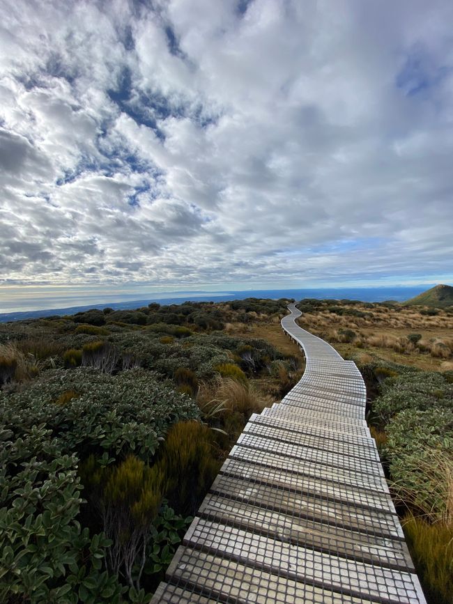 Path to the tarns