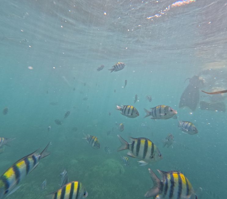 Etiqueta 17: Isla hopping frente a Lombok
