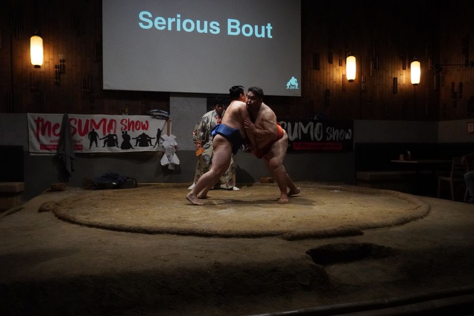 Shibuya y Sumo