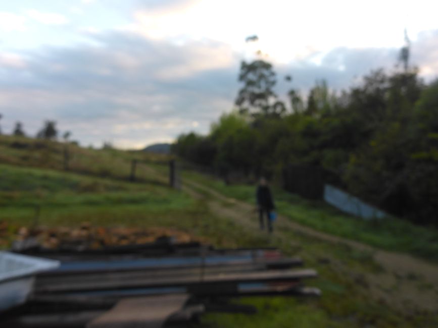 2025-03-16 WWOOF 2, Hokitika chez Joan et direction Picton