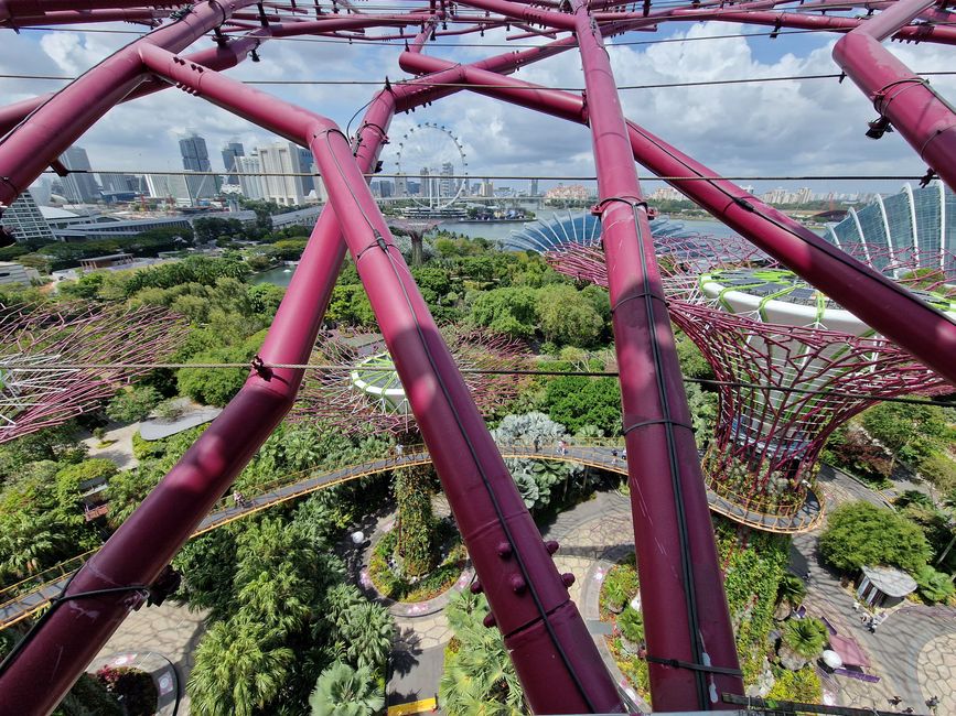 Gardens by the bay