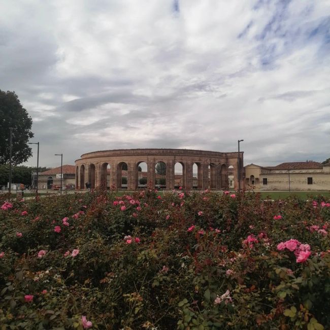 Teatro Sociale Di Mantova