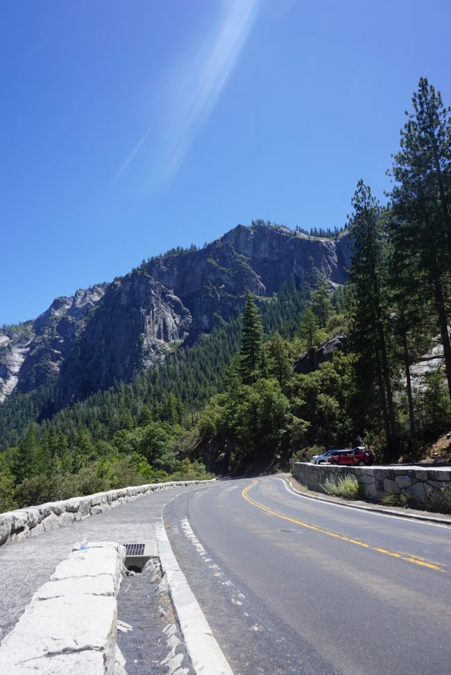Tag 9 - Ultimo giorno nello Yosemite e un momento indimenticabile con un orso 🐻