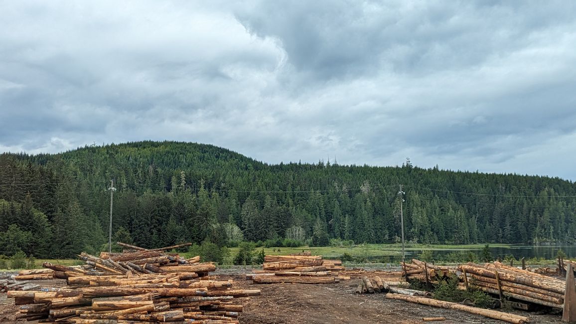 Day 11: Strathcona PP - Telegraph Cove - Alder Bay