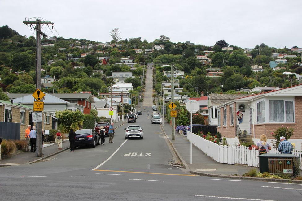 The Steepest Street in the World (Guinness Book)