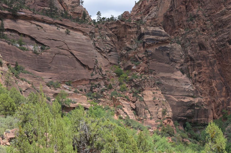Auf dem Rückweg von Angels Landing