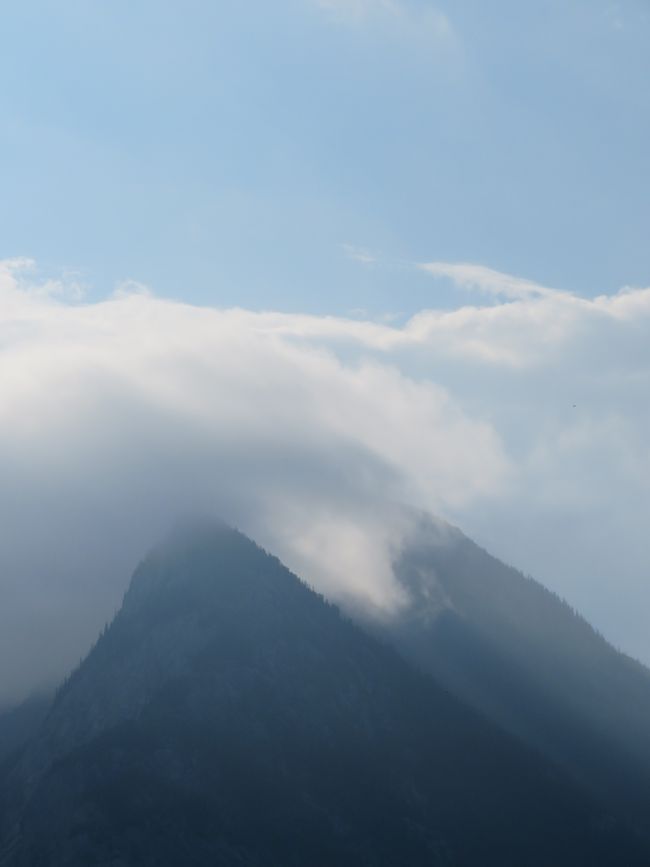 ¿Carneros de cuernos grandes?