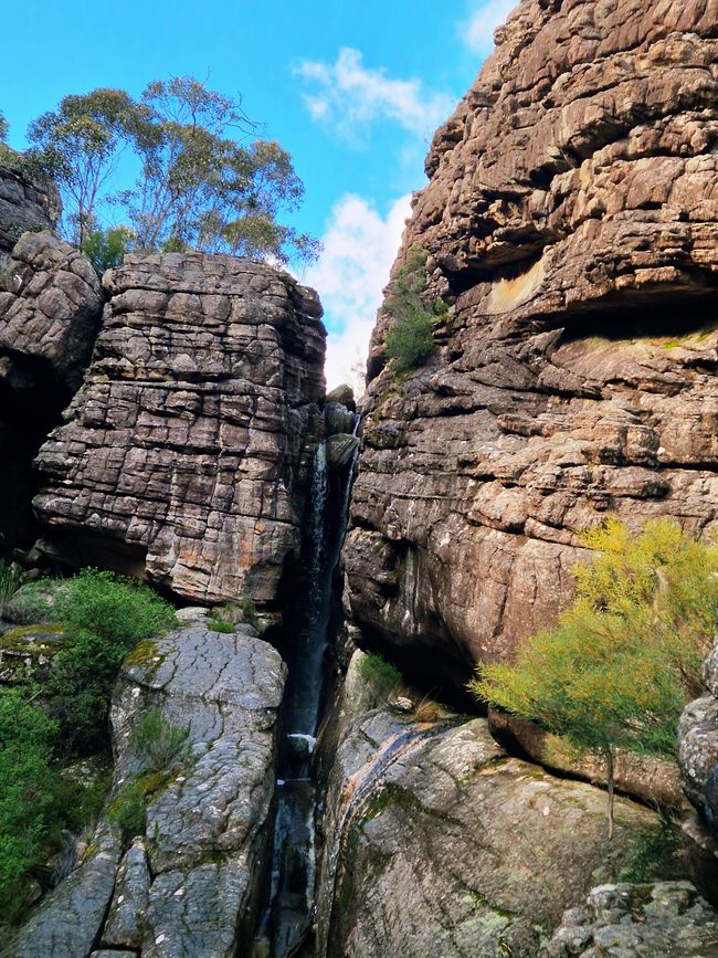 Genuss im Grampian Nationalpark