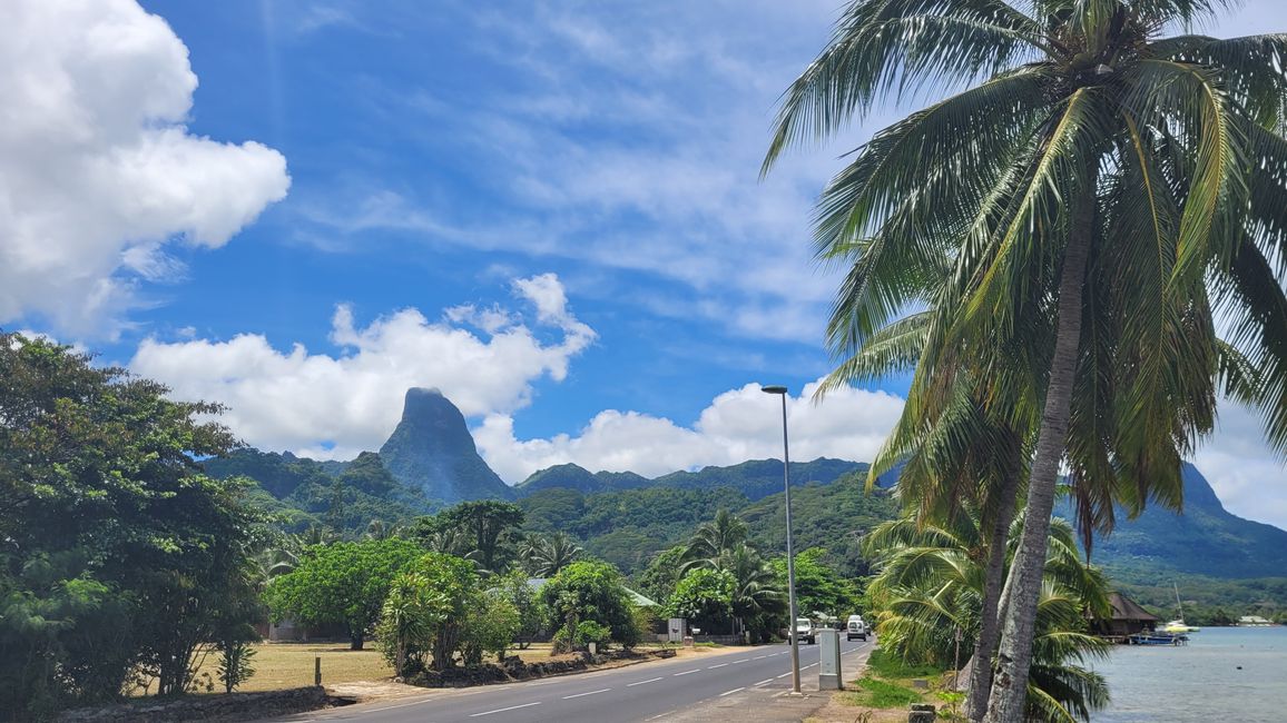 Mo’orea – impresionantes cumbres montañosas nos reciben