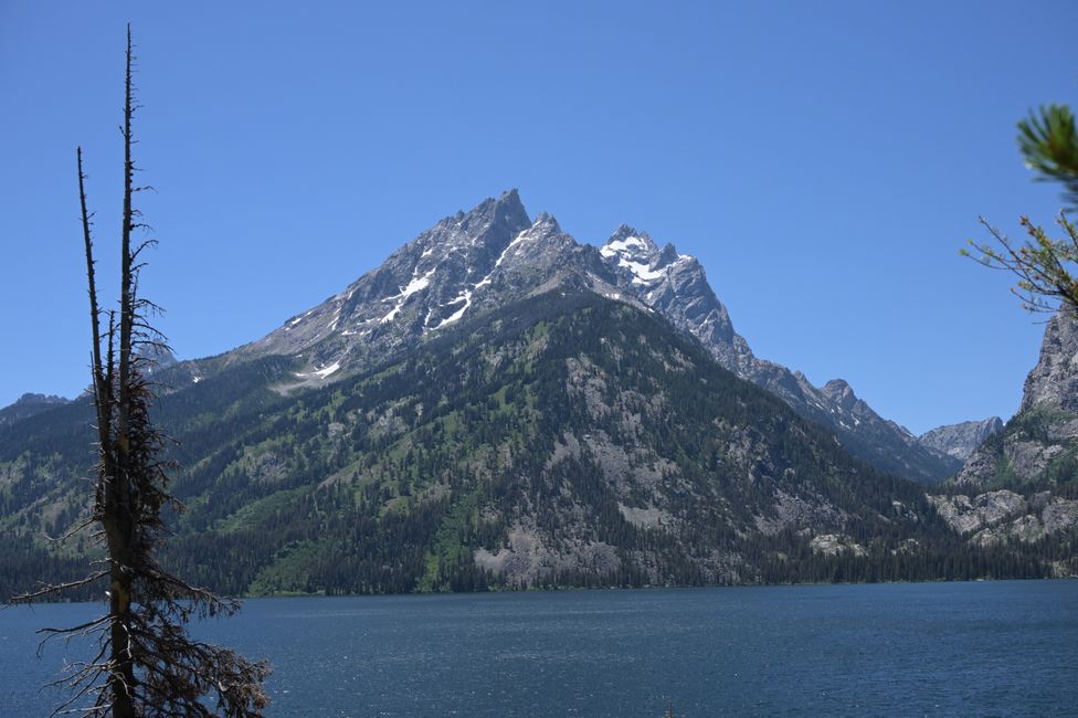Blick über den Jenny Lake