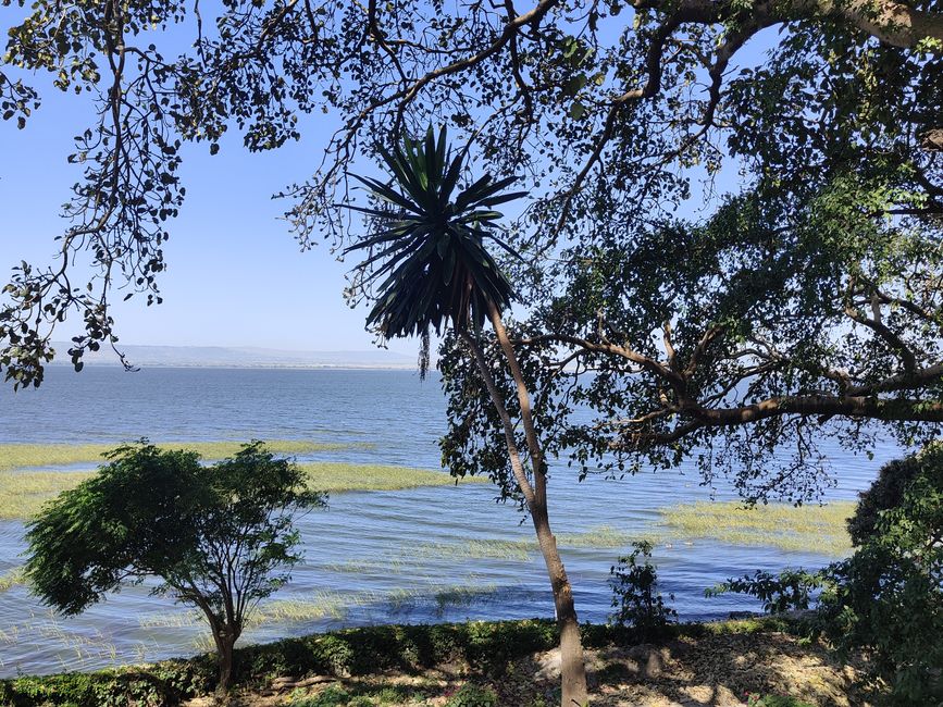 Hawassa primer día
