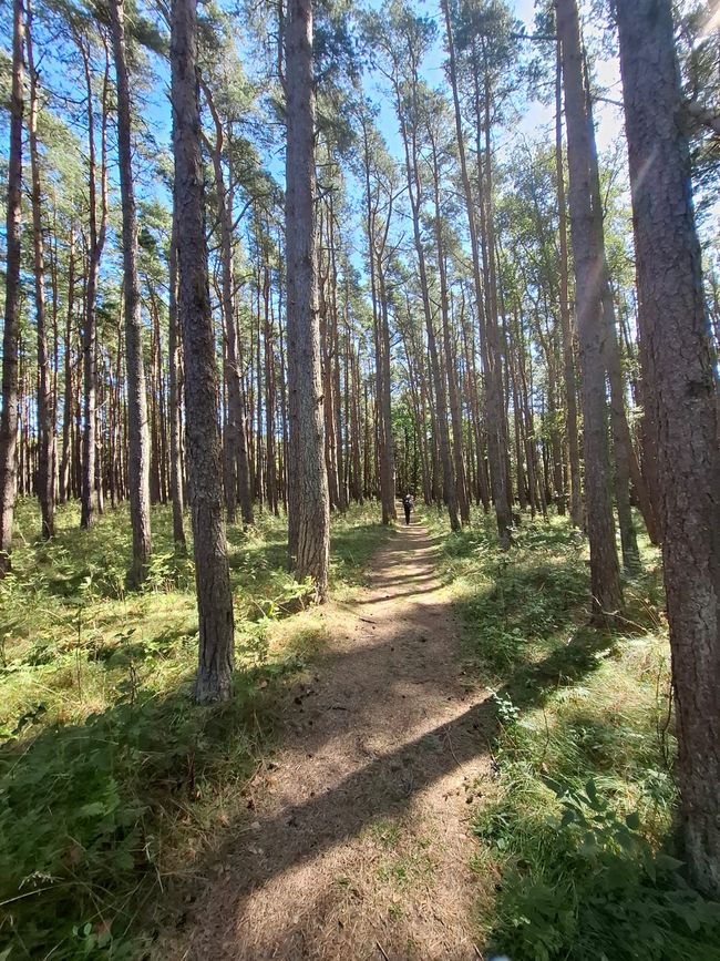 Halden - Strömstad - Kostereilanden - Halden