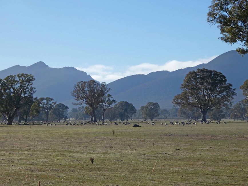 Ausläufer der Grampians