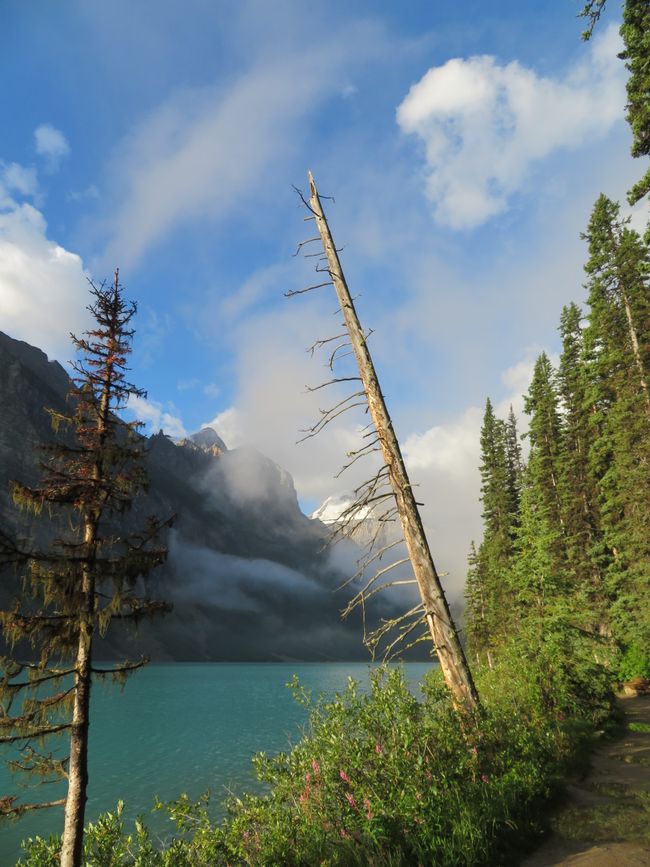 Lake Louise