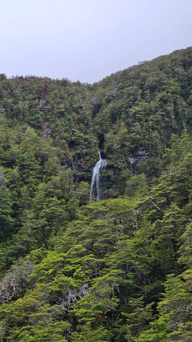 Charleston - Punakaiki - Greymouth - Arthur's Pass