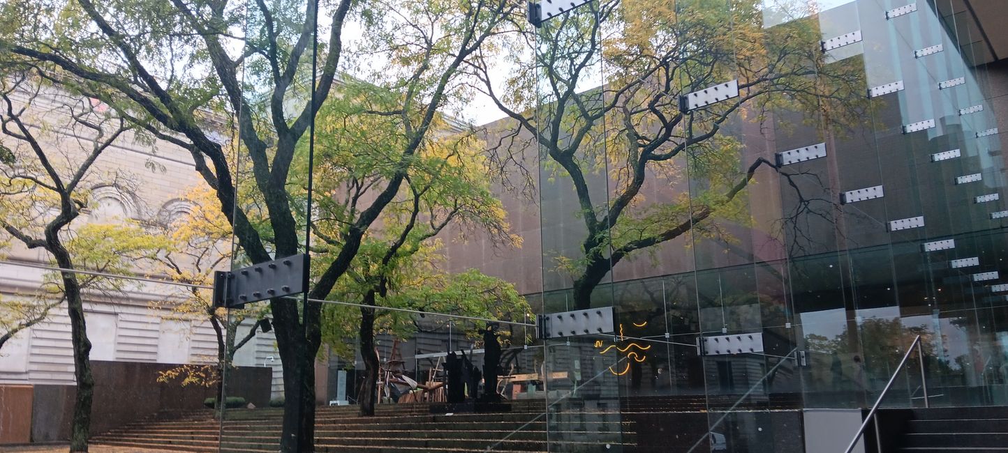Museum of Natural History I