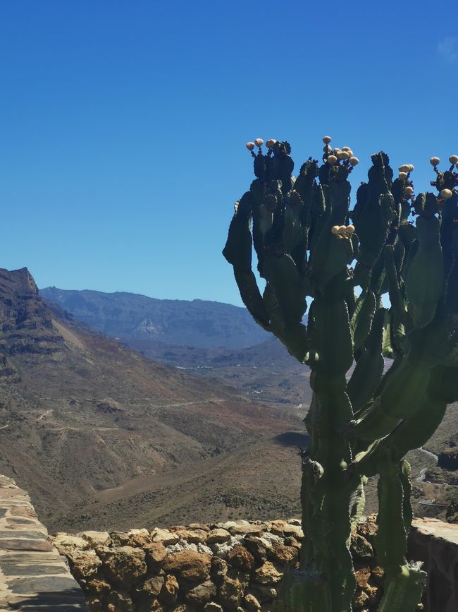 Gran Canaria Giugno 2024