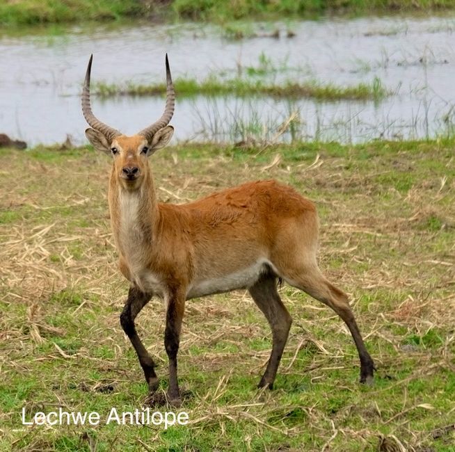 Bwabwata National Park