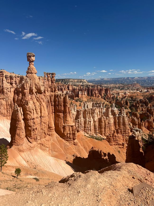 Canyon Land: Zion and Bryce Canyon❤️