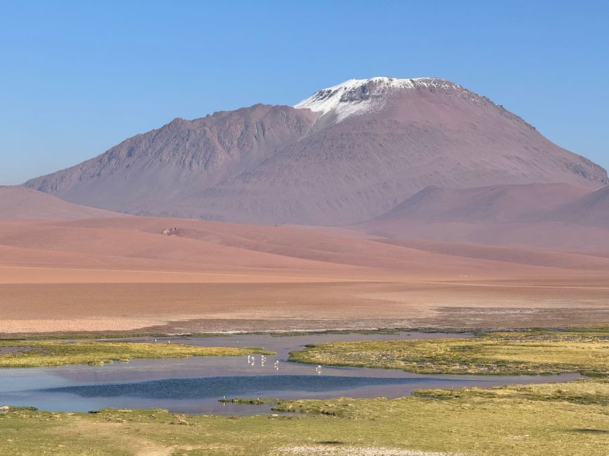 Dopo la siccità e l'aridità, dall'oggi al domani acqua e verde