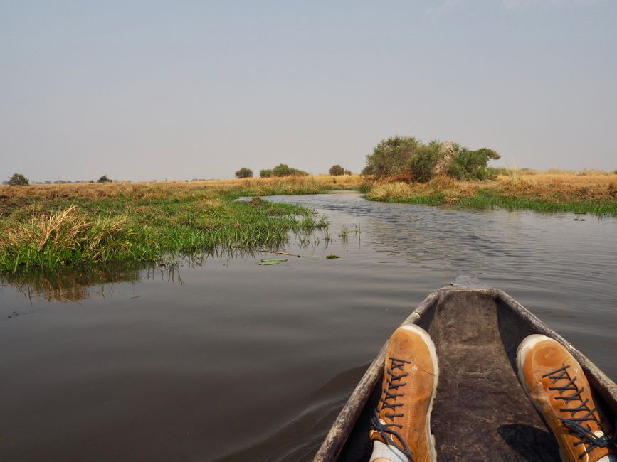 Das letzte angestrebte Highlight: Das Okavangodelta 