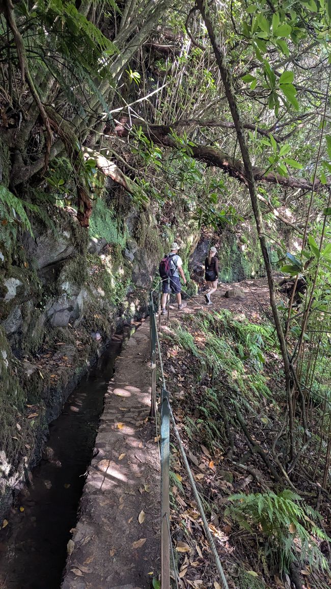 Tag 14: Levada do Caldeirão Verde & Nordküste