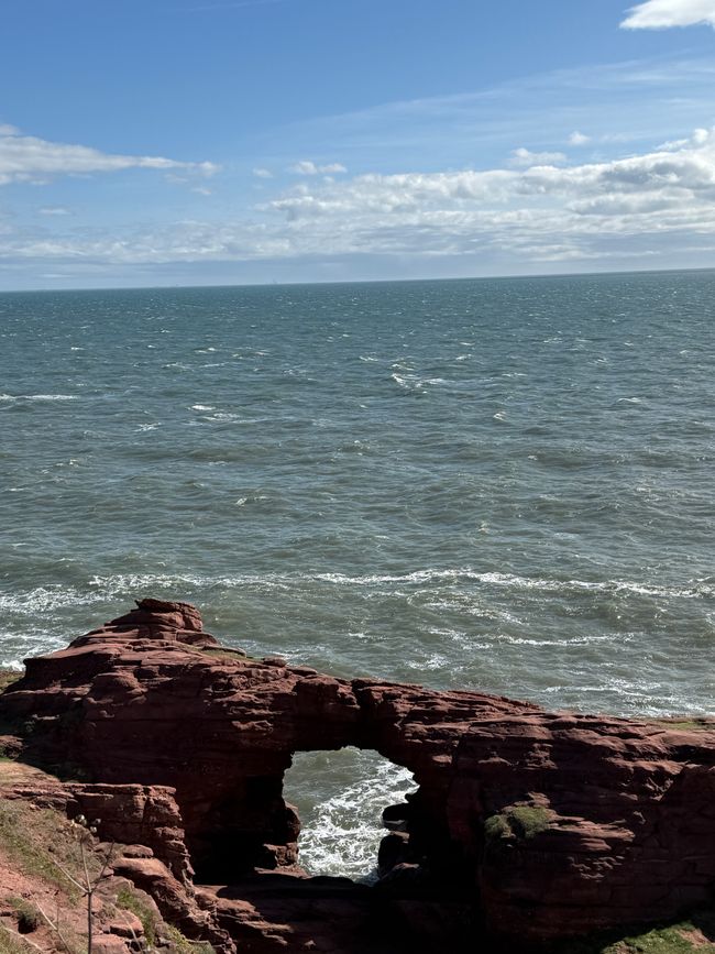 Arbroath, Smokies und Klippen