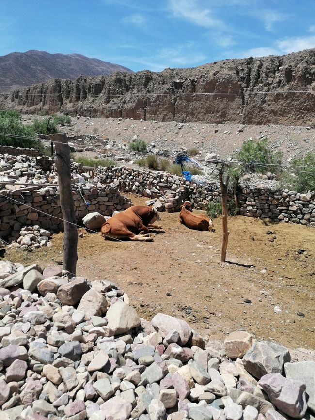 Argentina, El Puente del Diablo