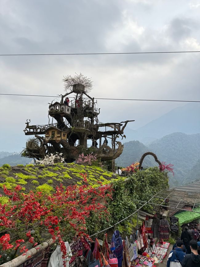 Sapa