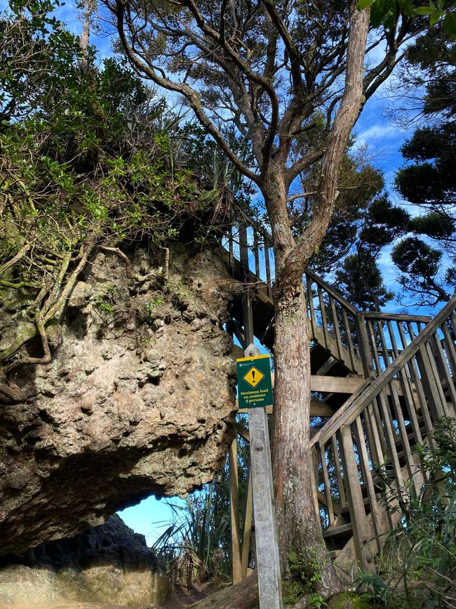 De whangarei à auckland