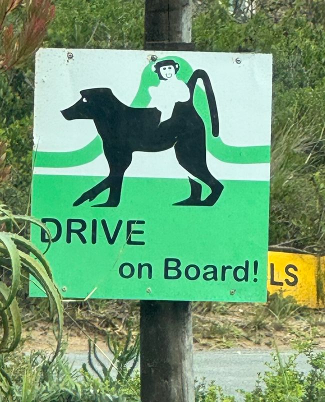 South Africa🇿🇦Week 6