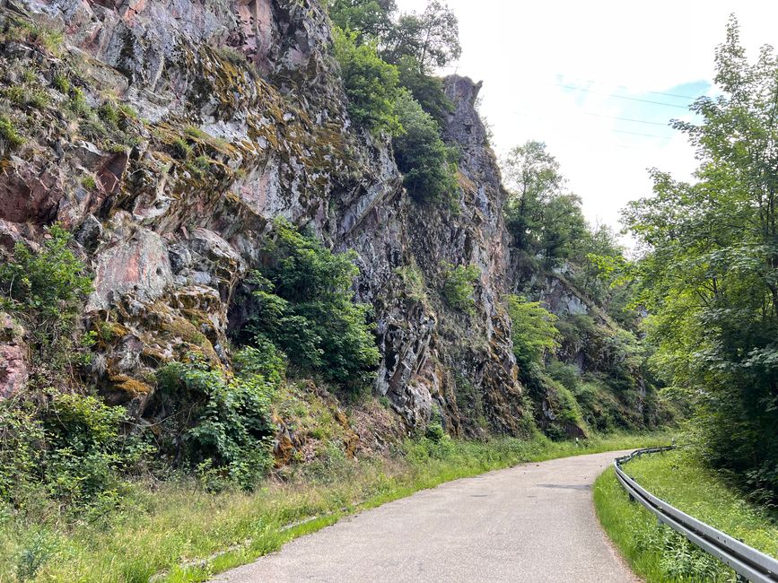 29 nach Hause