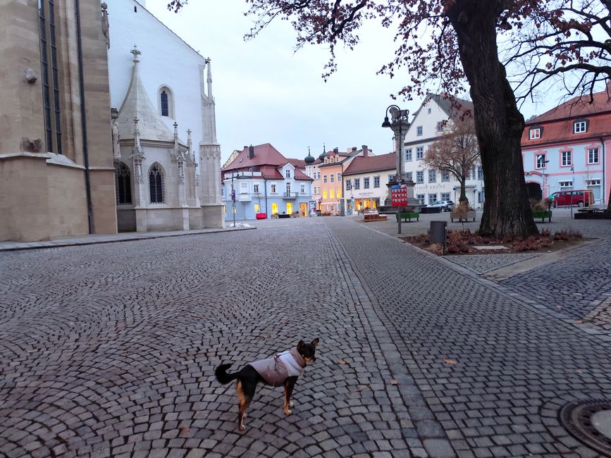 Huch- maintenant je suis en Bavière (Eichstätt près d'Ingolstadt)