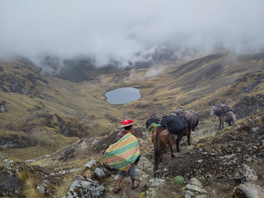 Cusco, Lares-Trek und Machu Picchu