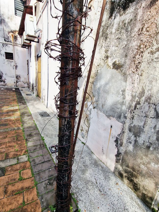 Besser nicht hoch klettern