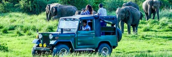 Ella Sri Lanka - Paseo en tren mundialmente famoso en Sri Lanka