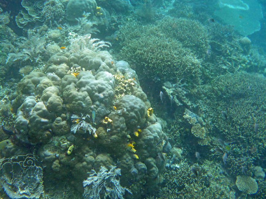 Waiag, Raja Ampat, Indonesia