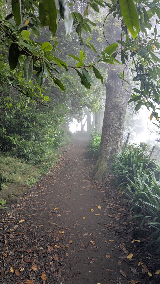 Tag 12: Dem Himmel so nah -  Pico do Areeio