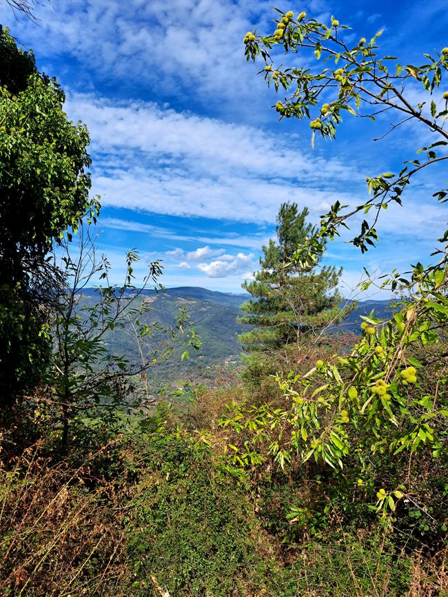 Corniche des Cèvennes