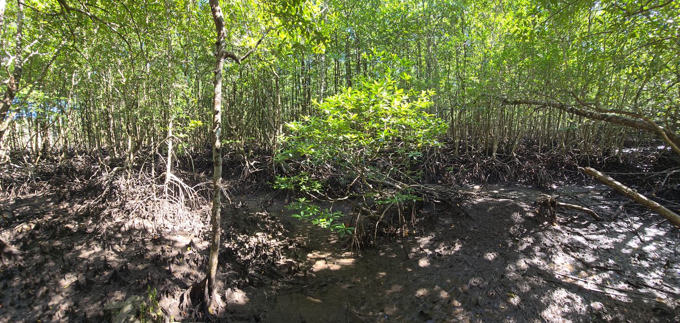 Langkawi - Reif für die Insel!