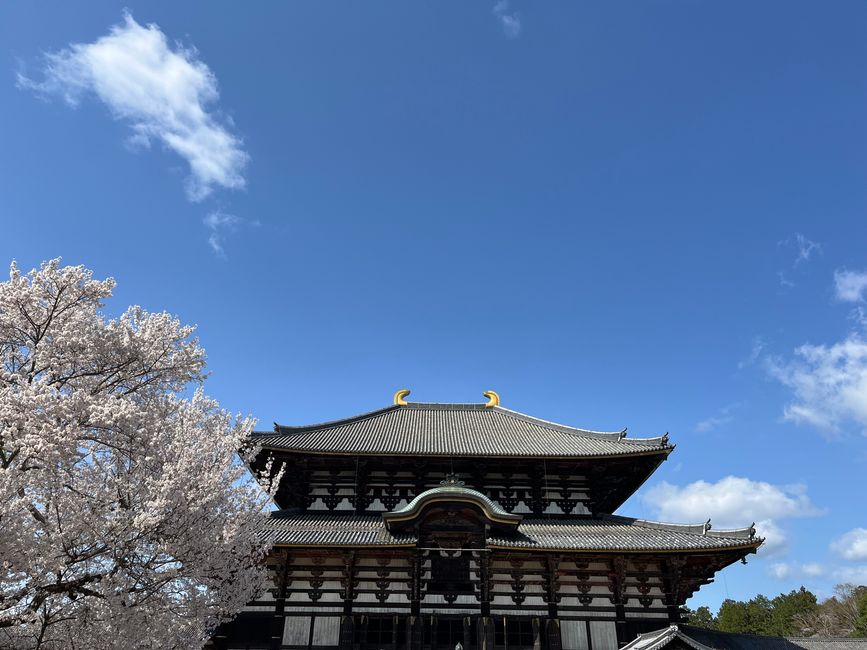 奈良-京都-星期五-04.04.25