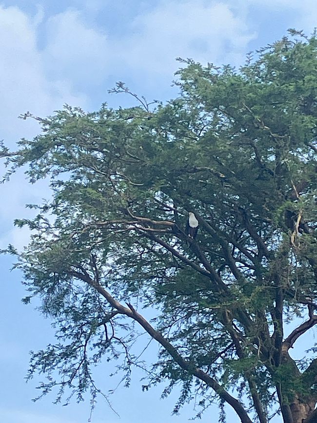 Queen Elizabeth Nationalpark