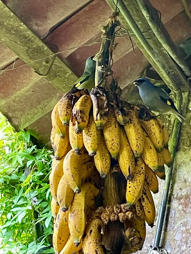 Miraflor - eine vergessene Gegend